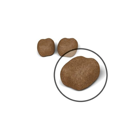 Royal Canin Dental Care Adult – Hrană Uscată pentru Pisici Adulte – 1.5 kg